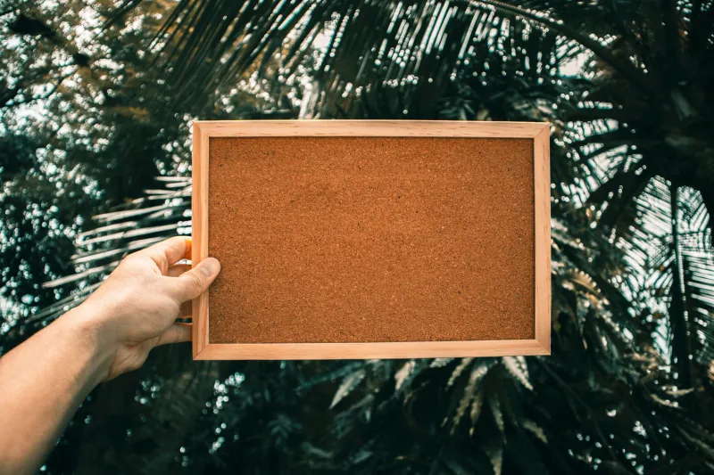 Pinned to the Wall: The Bulletin Boards That Still Know Your Town's Secrets